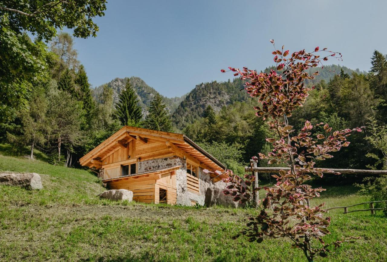 Вилла Odomi Maso Nel Bosco Sant'Orsola Экстерьер фото